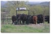 3-D Cattle Equipment, LLC - Image 3 of 0