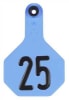 Y-Tex - Image 1 of 0