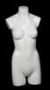 Glossy White 3/4 Female Mannequin Torso Display - Image 1 of 0