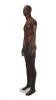 Brown Leather-Like Mixed Fabric Male Mannequin Bendable Arms - Image 3 of 0