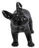 Realistic glossy black plastic French bulldog mannequin with a turnable head for pet apparel retail display and modern home interior decor. - Image 2 of 0