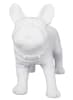 Minimalist matte white plastic French bulldog mannequin with a turnable head and realistic features, ideal for pet boutique clothing displays. - Image 2 of 0