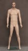 Photo: Male Mannequin Form | Tan Male Realistic Mannequin (Full) - Image 1 of 0