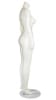 Female Mannequin Pearl White Headless Changeable Heads - Image 4 of 0