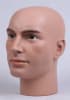 Cameron Realistic Male Display Head - Image 2 of 0