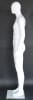 6' 1" Slender Glossy White Egghead Male Mannequin - Image 2 of 0