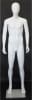 5'7" Small Size Male Mannequin - Image 1 of 0