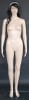 Realistic 5' 8" Plastic Female Mannequin - Light Flesh Tone - Image 2 of 0
