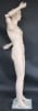 Realistic Flesh Tone Bendable Elbows Male Mannequin - Image 3 of 0