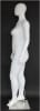 Matte White Female Headless Mannequin Plus Size - Image 2 of 0