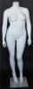 photo of Matte White Female Headless Mannequin Plus Size - Image 1 of 0
