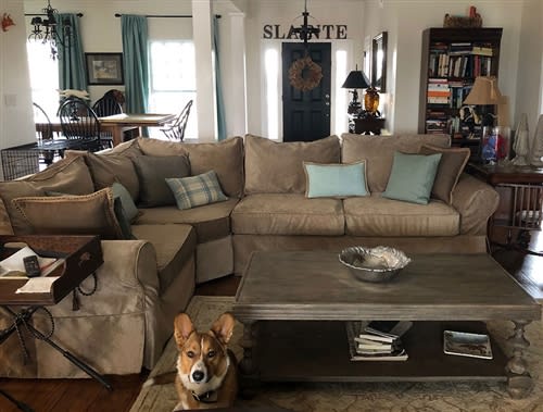 MOCK_ALT_TEXT