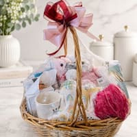 Sparkling Wine Congratulations Gift Basket - Wine and Champagne Gifts By San Francisco Gift Baskets