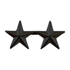 Two Star 1 Inch Insignia 4471