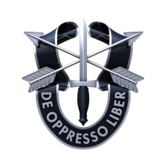 Special Forces Unit Crest Pin  DUI-SF