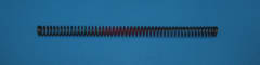 253933 SPRING