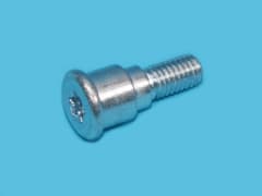 888030 Screw NM5X18-RH-T25-F-8.8-A3F