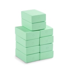 Scanning Support Positioning Sponge Bundle<br/>Bundle of 10 Sponges