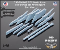 FL48-8065 Harrier GR.5/7/9 Pylons with LAU-138 for Hasegawa