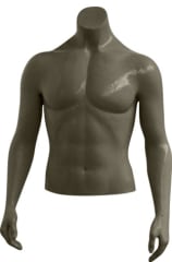 male torso mannequin retail display mannequins express