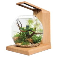 Fluval LIV Microscaping Aquarium Kit, Teak 6 L