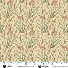 AUTUMN BOUQUET:  Milkweed in Cream by Renee Nanneman