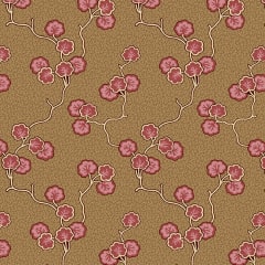 Anne's English Scrapbox Climbing Vine Rose