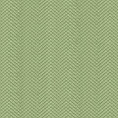 AYLA:  Chevron Fern Green  A-1725-G  by Max and Louise