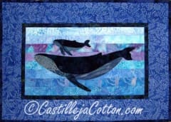 CC Humpback Whales