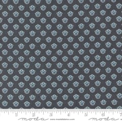 SACRE BLEU Campanule Indigo Blue 13977 16