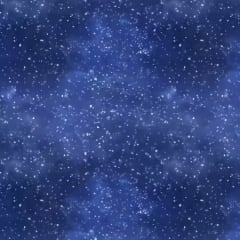 Night Winter Night Sky Christmas # CD3525-NIGHT  by Timeless Treasures