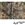 Realtree Xtra