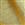 Cafe Latte/Gold