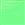Neon Lime