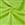 Neon Lime