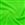 Neon Lime