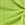 Neon Lime