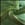 Palmolive/Mint