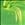 Lime/Chartreuse