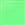 Neon Lime