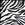 Zebra Print
