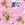 Bears Brown & White on Pink (1 Only)