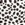 Minky Wild - Dalmation