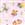 Butterflies Brt on Pink