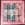 Bears Plaid - Pink