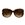TORTOISE/BROWN