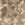 Desert Camo