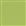 Key Lime 1010096