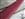 Cord Wrap Maroon