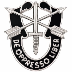 Special Forces Unit Crest Pin  DUI-SF